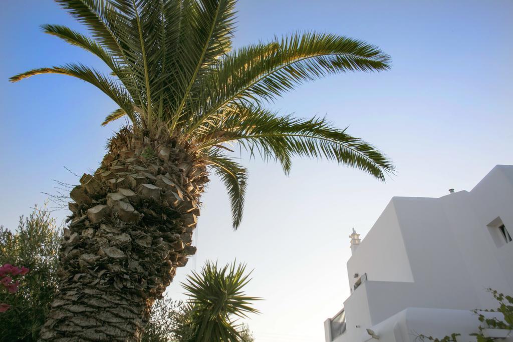 Anna-Maria Mykonos Hotel Гластрос Экстерьер фото